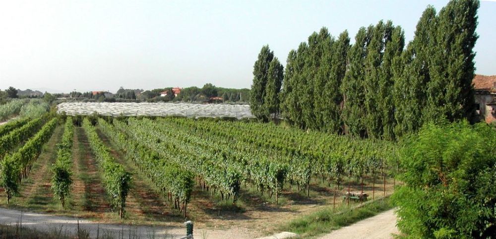 Masseria La Morella Bellizzi Buitenkant foto